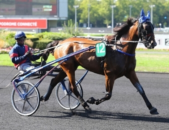 Le Grand Prix de la Toussaint, Quinté + PMU du vendredi 28 octobre à Mons