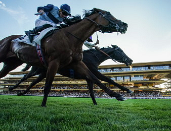 Le Grand Prix de Paris avait lieu ce dimanche 13 juillet à ParisLongchamp