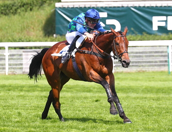 Le Grand Steeple-Chase de Paris 2025 avait lieu à Auteuil ce dimanche 18 mai.