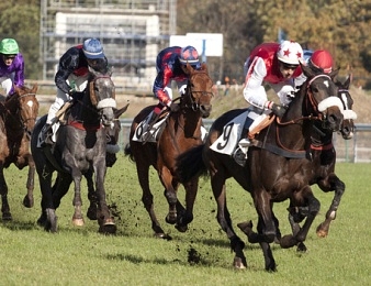 Le Grand Steeple-Chase de Paris, théâtre d'intenses émotions