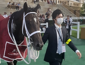 Le Japonais Deep Bond remporte le Qatar Prix Foy