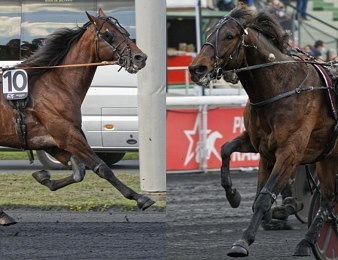 Le match Idao de Tillard - Hohneck
