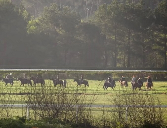 Le monde du galop dans la tourmente