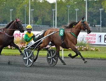 Le phénomène Face Time Bourbon se balade dans le Prix de l'Etoile