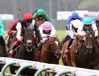 Le Prix Bassin d'Arcachon-Sabt, quinté + pmu du jeudi 22 juin
