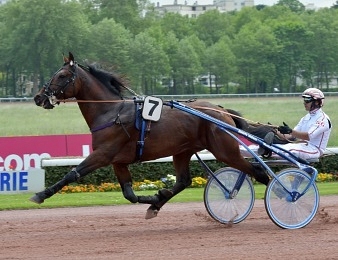 Le Prix Centre France la Montagne, quinté + PMU du jeudi 28 juin