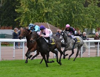 Le Prix Charles Gastaud, quinté+ PMU du vendredi 22 janvier à Cagnes-sur-Mer