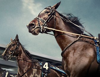 Le Prix d'Amérique Races Qualif ZEturf Qualif 2 est programmé dimanche à Vincennes