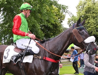 Le Prix d'Amiens, Quinté + PMU du samedi 22 octobre 2016 à Enghien
