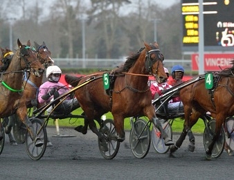 Le Prix d'Angoulême, quinté + PMU du mercredi 1er janvier à Vincennes