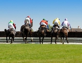 Le Prix d'Ecouen, Quinté + PMU du samedi 15 octobre à Auteuil