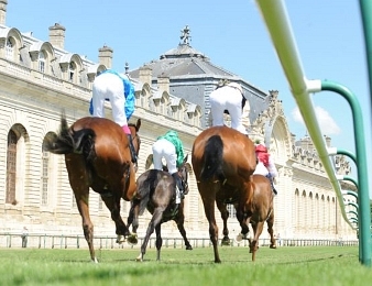 Le Prix d'Epsom, quinté + PMU du mardi 8 décembre à Chantilly.