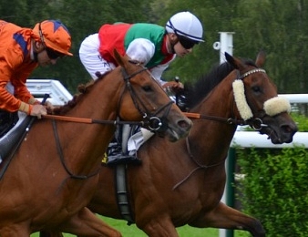 Le Prix du Béarn, Quinté Plus, est dévolu aux galopeurs
