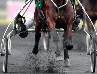 Le Prix de Brest, Quinté + PMU du samedi 21 janvier 2017