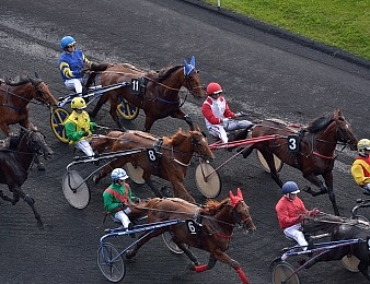 Le Prix de Craon, quinté + PMU du mercredi 24 décembre à Vincennes.