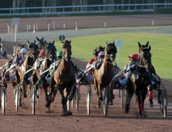 Le Prix de Genève, Quinté+ du mercredi 13 août 2014 à Enghien