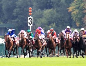 Le Prix de l'Arc de Triomphe 2011 comptera seize partants