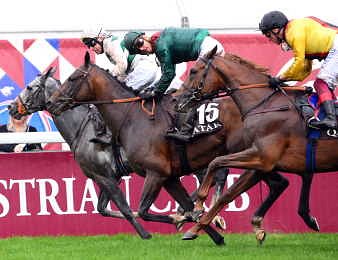 Le Prix de l'Arc de Triomphe est le Championnat du Monde des pur-sang