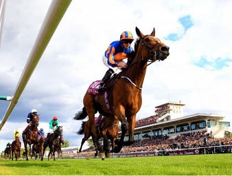 Le Prix de l'Arc de Triomphe sacrera le meilleur pur-sang du monde ce dimanche