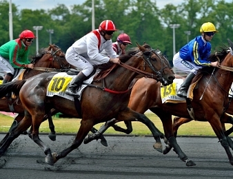 Le Prix de l'Etoile et le Prix de Normandie ce dimanche 17 septembre à Vincennes