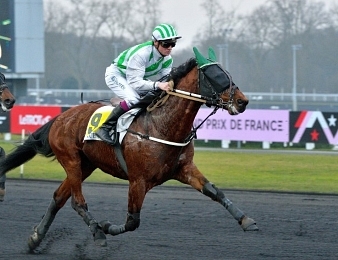 Le Prix de l'Ile-de-France se disputera ce dimanche 4 février à Vincennes