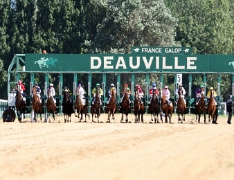 Le Prix de la Baie de Seine, quinté+ PMU du vendredi 8 janvier à Deauville