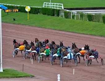 Le Prix de la Manche, quinté+ PMU du samedi 9 juillet 2016 à Enghien