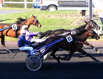 Le Prix de la Thierache, quinté+ PMU du jeudi 28 janvier à Vincennes