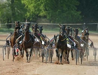 Le Prix de la Ville de Pont-Château, quinté + PMU du mercredi 18 avril