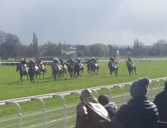Le Prix de Newmaket, quinté+ PMU du lundi 30 mai à Maisons-Laffitte