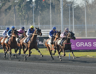 Le Prix de Normandie sacre le meilleur 5 ans au trot monté