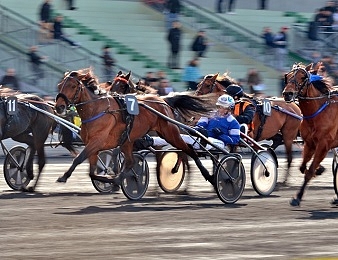 Le Prix de Strasbourg, quinté + PMU du samedi 26 décembre à Vincennes.
