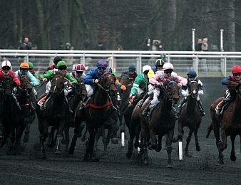Le Prix des Centaures a lieu dimanche 12 février 2017 à Paris-Vincennes