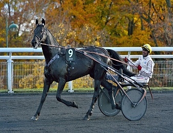 Le Prix des Cevennes, Quinté + PMU du mercredi 31 octobre à Vincennes