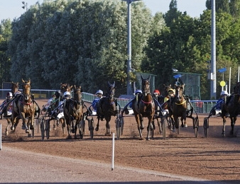 Le Prix des Coréopsis, quinté + PMU du vendredi 9 août à Cabourg.