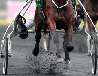Le Prix des Saponaires, quinté+ PMU du jeudi 17 décembre à Cabourg