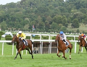 Le Prix du Bocage, quinté+ PMU du mardi 30 août à Clairefontaine