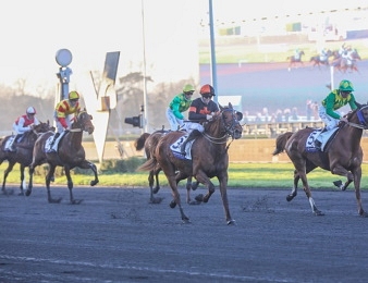 Le Prix du Calvados est au programme des Cornulier Races.