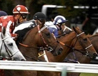Le Prix du Chêne de Craon, quinté+ PMU du lundi 21 septembre à Craon