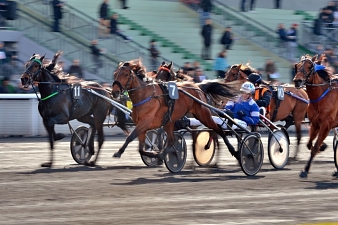 Le Prix du Chesnay, quinté + PMU du mardi 23 février à Vincennes.