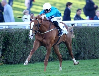 Le Prix du Jockey Club, quinté+ PMU du dimanche 5 juin 2016 à Chantilly