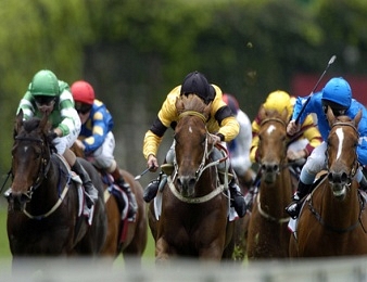Le Prix du Manoir, Quinté+ du samedi 8 novembre 2014 à Saint-Cloud