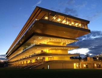 Le Prix du Palais, quinté + PMU du dimanche 16 septembre à ParisLongchamp