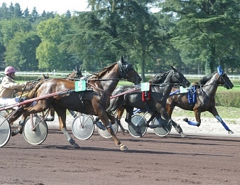 Le Prix du Pays Niçois, quinté+ PMU du mardi 3 mai à Lyon-Parilly