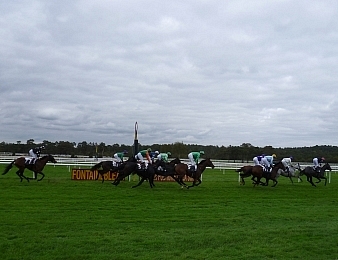 Le Prix du Pont de Flandres, quinté+ PMU du jeudi 14 avril à Fontainebleau