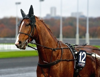 Le Prix du Sap, quinté + PMU du vendredi 13 juillet à Cabourg
