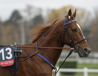 Le Prix du Vivarais, quinté + PMU du mardi 7 juin à Vichy.