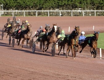 Le Prix Elma, Quinté + du vendredi 26 février à Enghien
