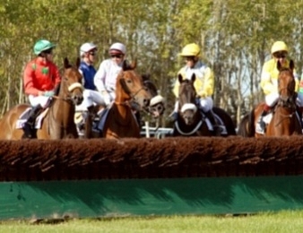 Le Prix Gaston Branère, Quinté+ du dimanche 26 avril à Auteuil