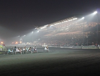 Le Prix Gemma, Quinté+ du vendredi 7 novembre 2014 à Paris-Vincennes